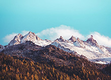 世界杯最新版下载-女篮世界杯丨中国女篮战胜马里队 取得资格赛开门红